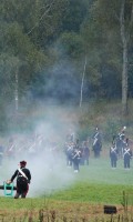 Бородино 2013 года Бородино 2013 года
