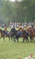 Бородино 2013 года Бородино 2013 года